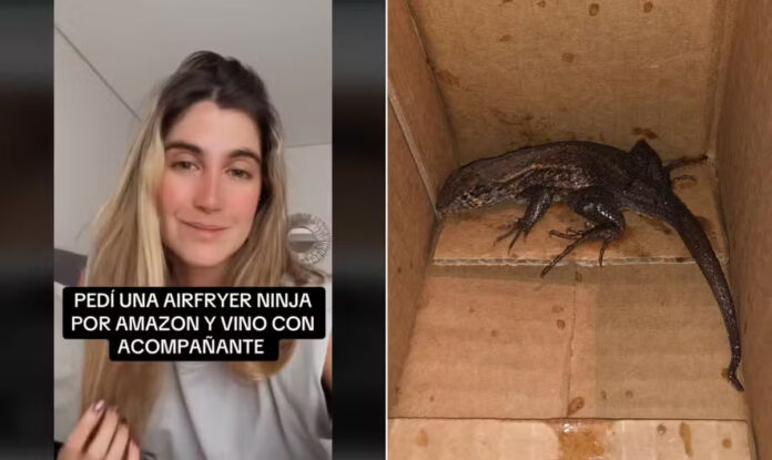 VÍDEO: Mulher na Colômbia compra airfryer pela Amazon e encontra lagarto em caixa