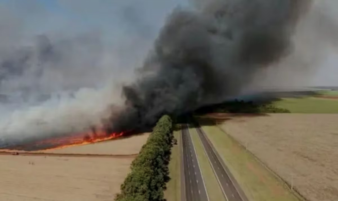 Incêndios São paulo