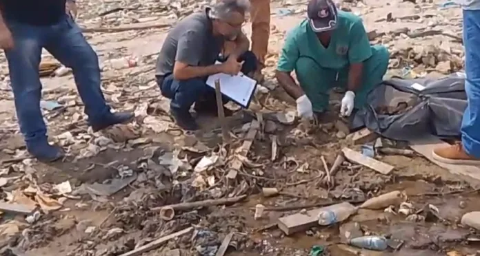 Após seca no Rio Negro, ‘cemitério de ossos’ é revelado no Educandos