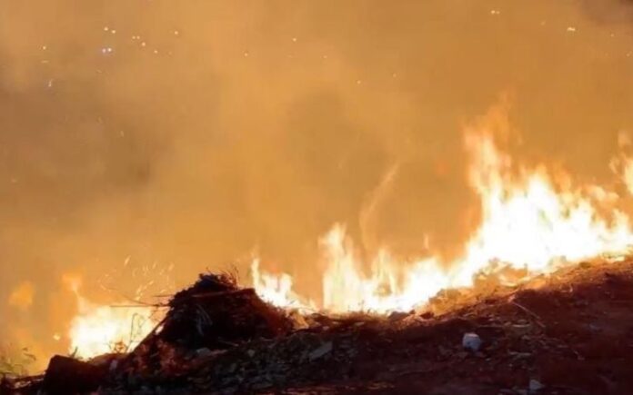 Moradores se desesperaram na noite desta quarta-feira (4/09) com um incêndio de grandes proporções em uma área de mata