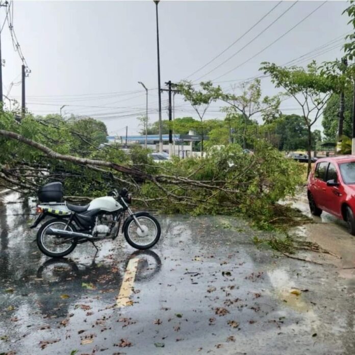 Temporal em Manaus provoca interrupções de energia: Veja bairros afetados