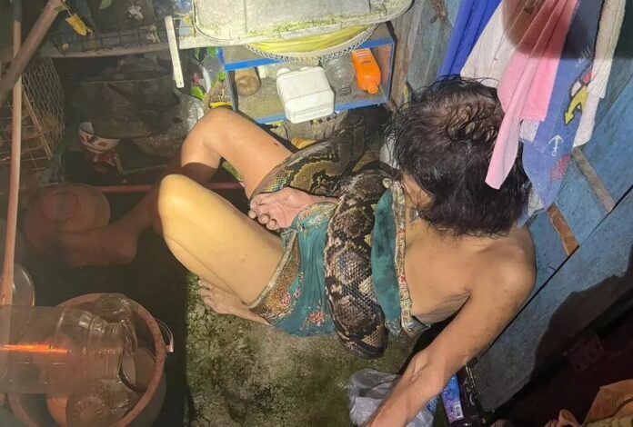 VÍDEO: Na Tailândia, mulher é atacada e quase estrangulada por cobra píton gigante