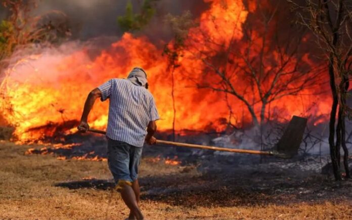 Até a quarta-feira (18/09), o governo liberará um crédito extraordinário de R$ 514 milhões para combater os incêndios florestais