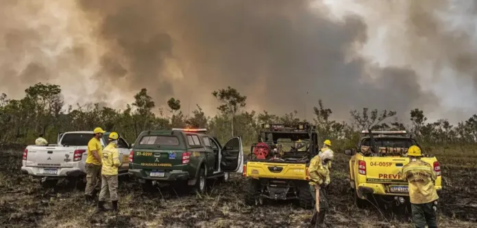 Exército é multado em R$ 6,5 milhões por incêndio florestal em parque