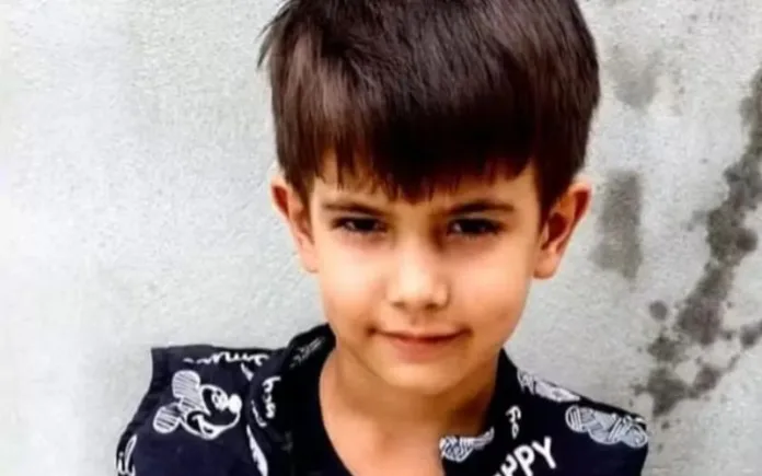 Um menino de 6 anos morreu após levar uma picada de abelha, no município paranaense de Sengés, na tarde de segunda-feira passada