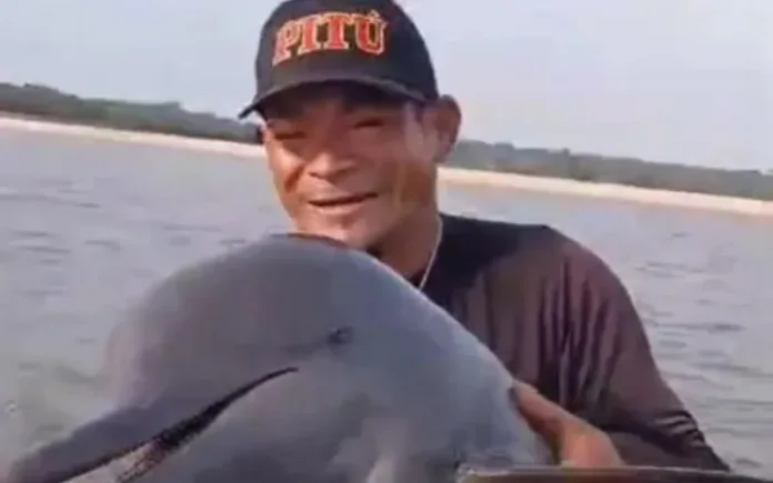 Um vídeo que circula nas redes sociais na manhã deste sábado (26/10), mostra um pescador que não teve a identidade divulgada salvando um boto