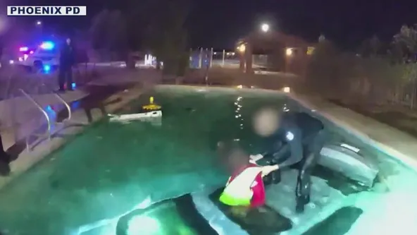 VÍDEO: Nos EUA, policiais resgatam homem de dentro de carro que caiu em piscina