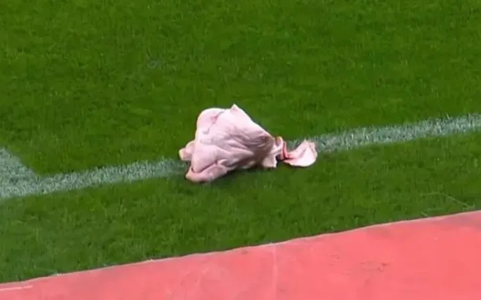 VÍDEOS: Veja momento em que cabeça de porco é arremessada em campo durante jogo entre Corinthians e Palmeiras