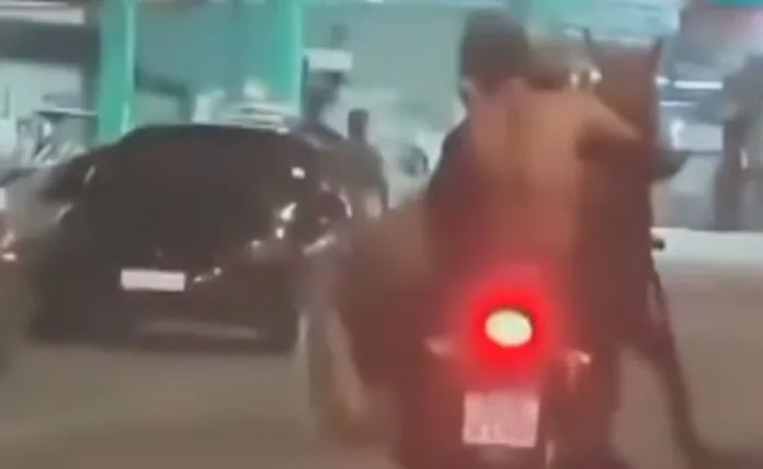 VÍDEO: Dois homens são flagrados transportando um cavalo numa moto, no RJ