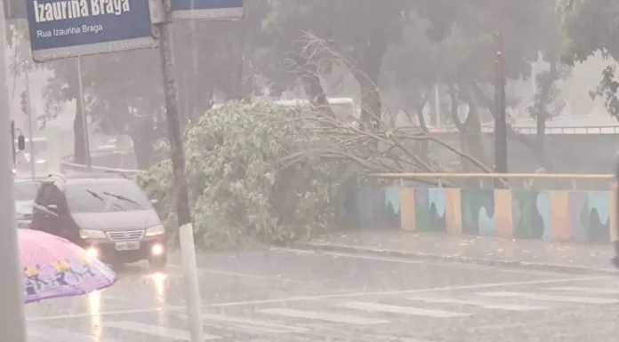 VÍDEOS: Manaus entra em 'perigo potencial' por causa da chuva; alagamentos e estragos ocorrem pela cidade