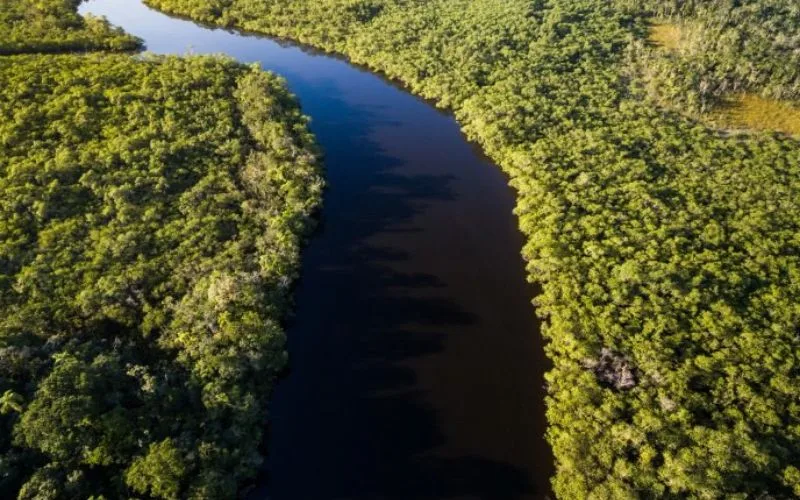 Amazônia - Fundo Amazônia