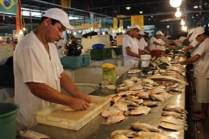 Defeso começa nesta sexta (15) no AM: Veja lista de espécies com pesca proibida