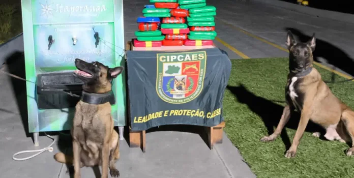 Cocaína é encontrada em bebedouro de embarcação em Coari