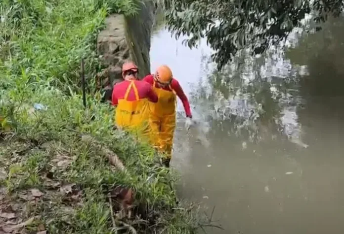 Corpo de homem é encontrado boiado no Igarapé do Mindu