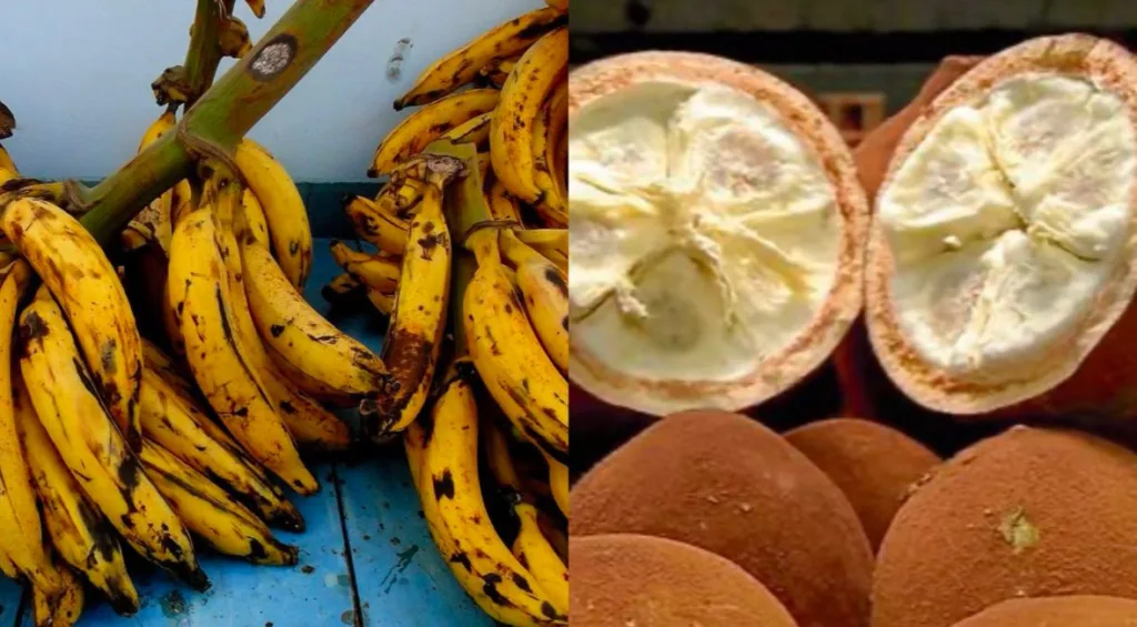 Sobremesa amazônica: Aprenda a fazer Mousse de banana pacovã e cupuaçu