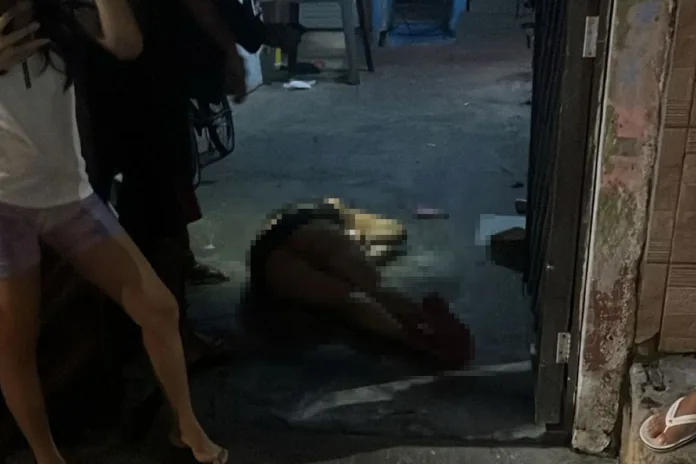 A mulher foi morta com vários tiros na cabeça (Foto: Divulgação)