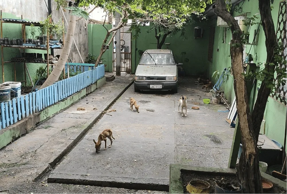 Local onde cães foram encontrados. (FOTO: Divulgação/PC-AM)