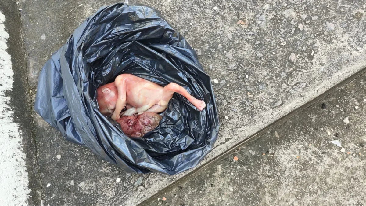 Feto de 5 meses é encontrado em saco de lixo em Manaus