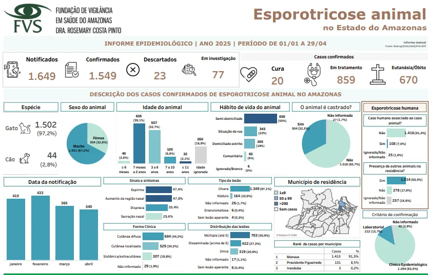 Esporotricose: Amazonas registra aumento de casos; saiba o que é e como prevenir