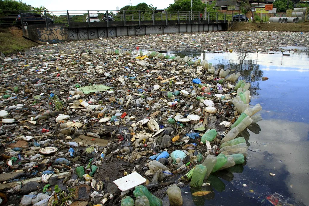 Lixo descartado de forma irregular tem prejudicado a cidade - (Foto: Divulgação/Defensoria Pública).