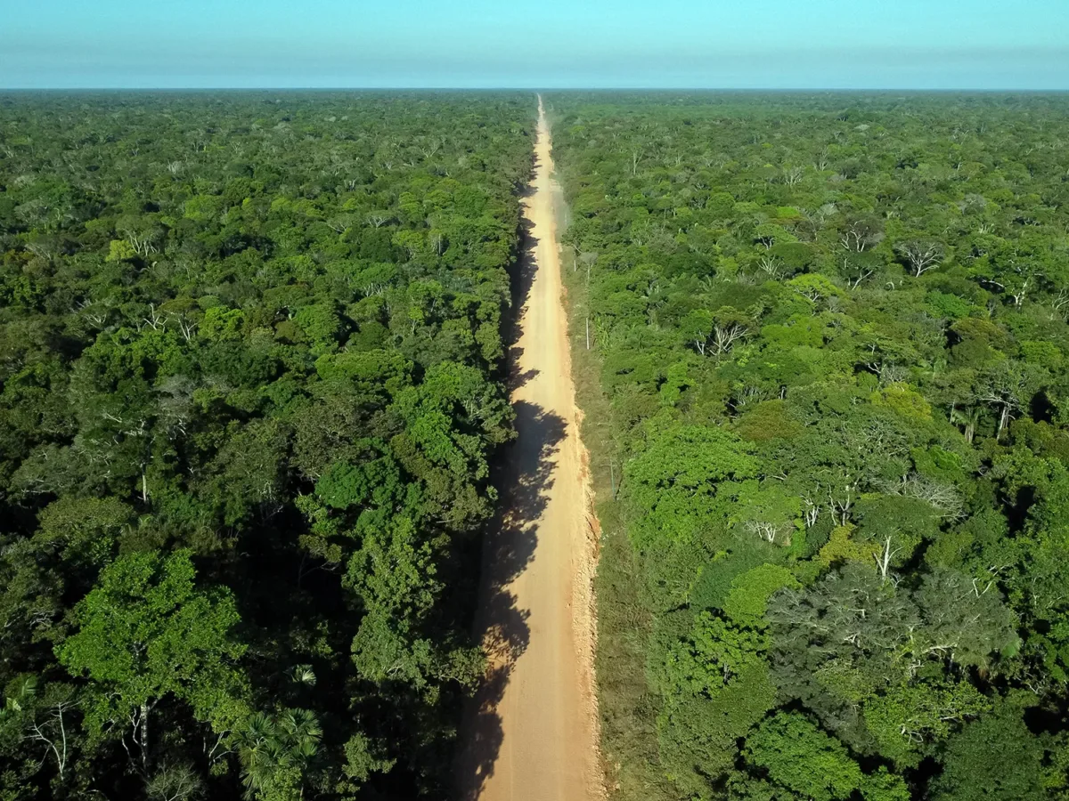 Desmatamento cresce 67% na área de influência da BR‑319 em abril, aponta Observatório