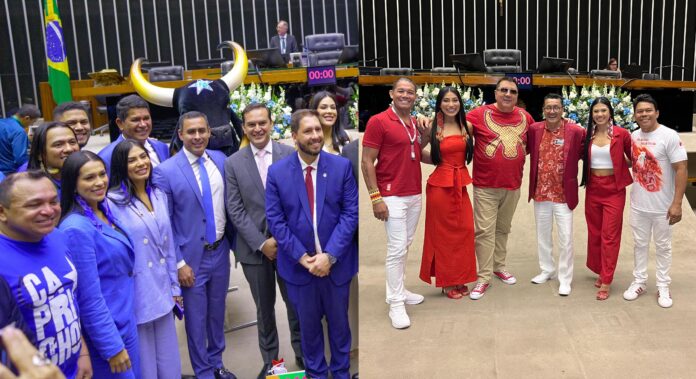 Bumbás de Parintins são homenageados na Câmara dos Deputados