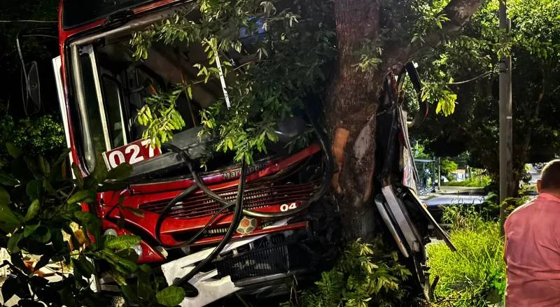 Ônibus perde o controle e bate em árvore em Manaus
