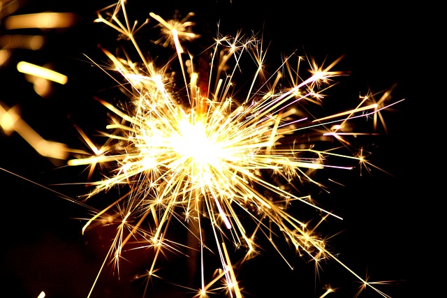 Veja 5 dicas de como proteger seu pet do barulho de fogos de artifício nas festas juninas